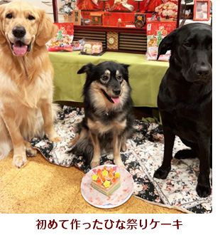 初めて作ったひな祭りケーキ